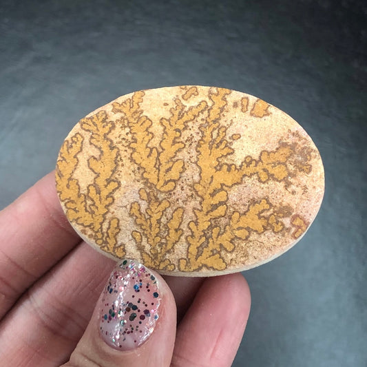 Dendritic Limestone Jurassic Cabochon D Germany—MINI21