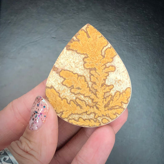 Dendritic Limestone Jurassic Cabochon A, Germany—MINI20