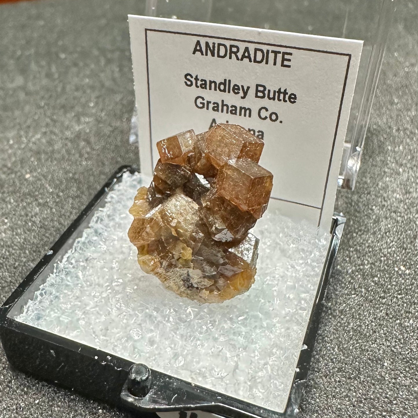 Andradite Garnets Cluster, Stanley Butte, Arizona, USA—TN2