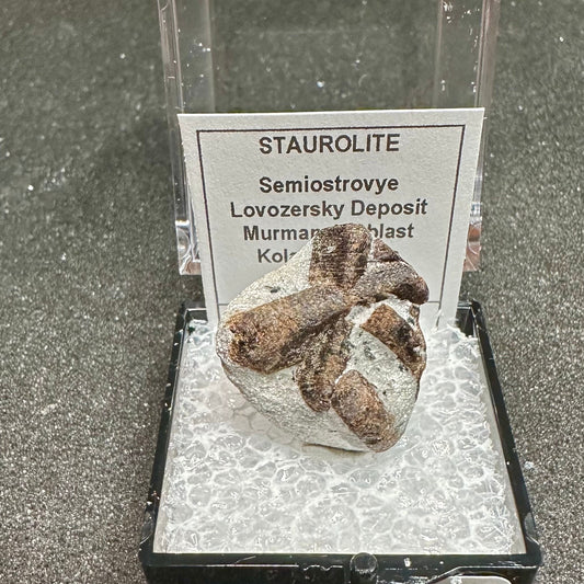 Staurolite Mini Twin Cluster in Mica Schist, Semiostrovye, Russia—TN18