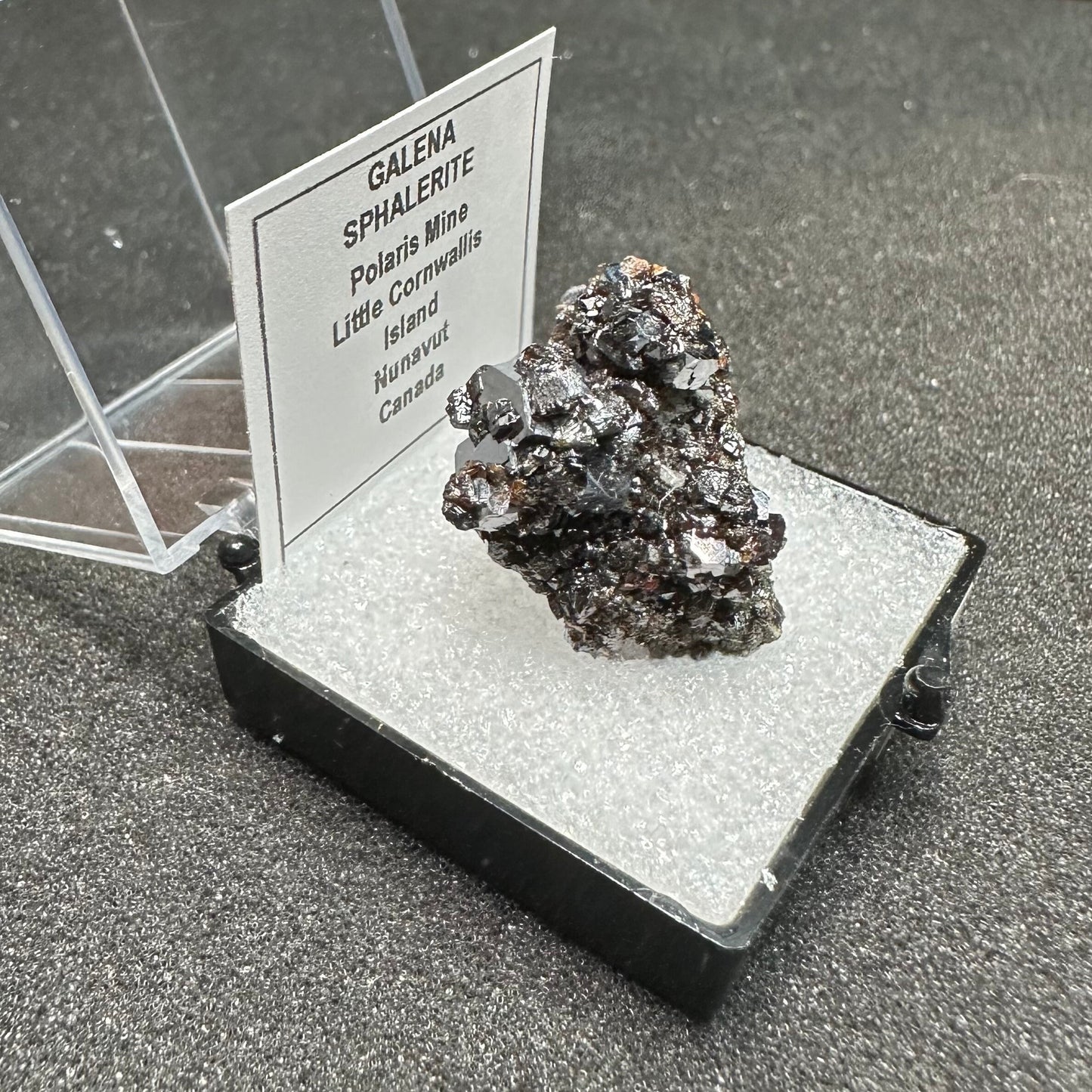 Galena & Sphalerite Cluster, Polaris Mine, Canada—TN7