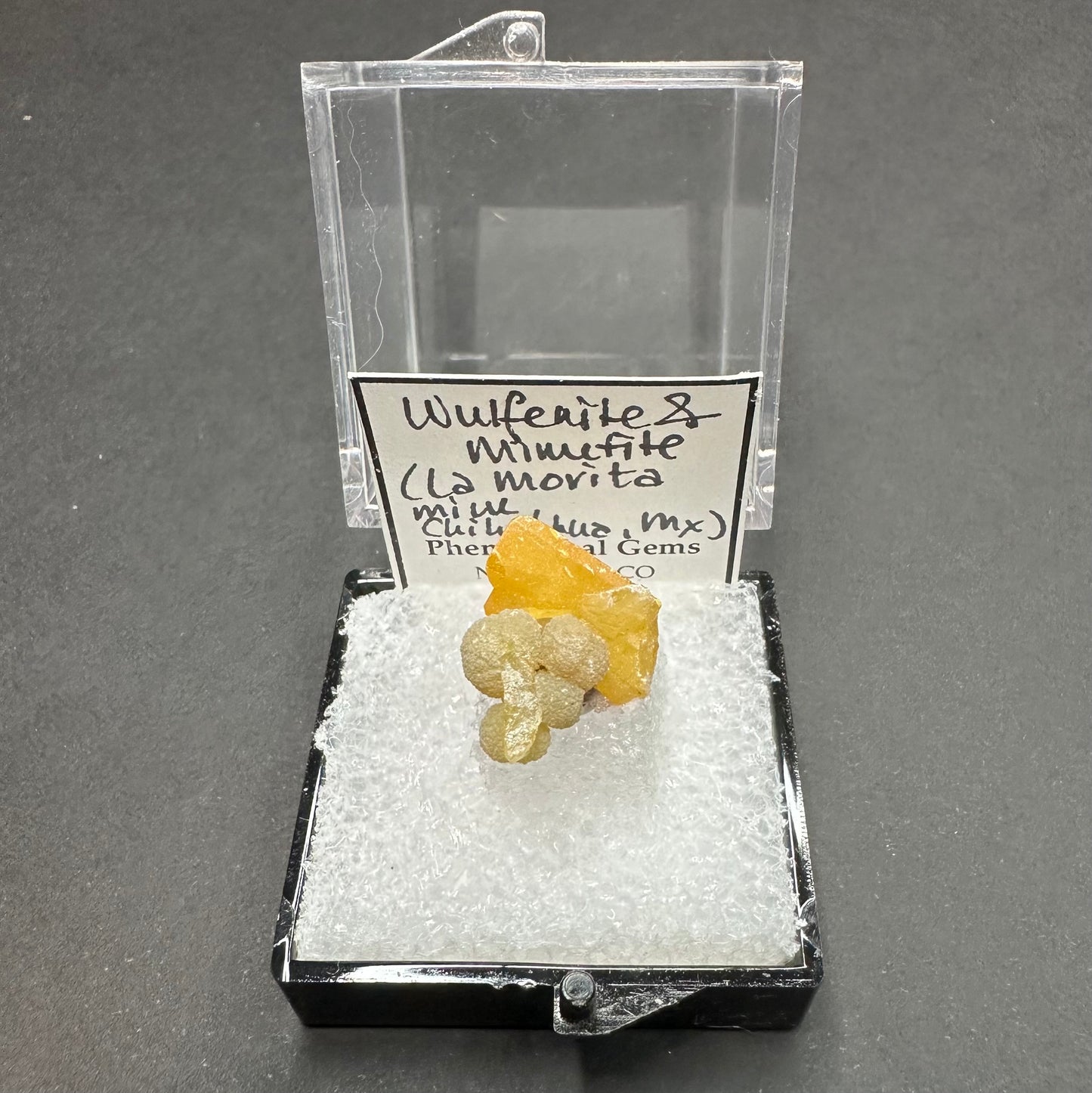 Wulfenite Mimetite Tabular Crystal Cluster, La Morita Mine, Mexico—TN23