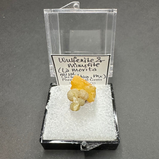 Wulfenite Mimetite Tabular Crystal Cluster, La Morita Mine, Mexico—TN23