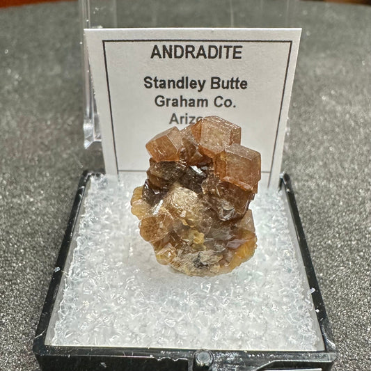 Andradite Garnets Cluster, Stanley Butte, Arizona, USA—TN2