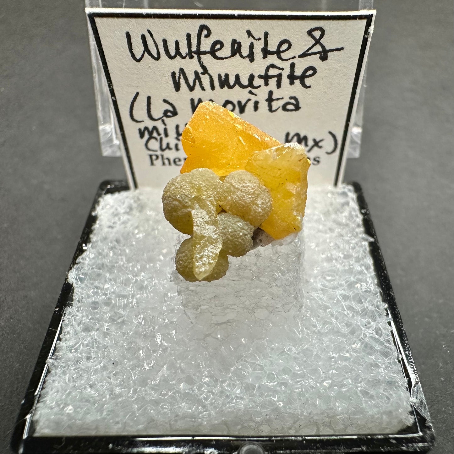 Wulfenite Mimetite Tabular Crystal Cluster, La Morita Mine, Mexico—TN23